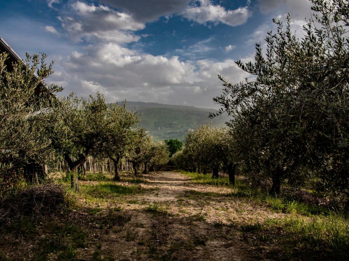 فيلا Manoppelloفي Country House Casale Centurione المظهر الخارجي الصورة